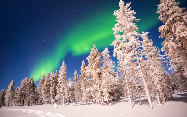 Nordlichter,Aurora Borealis in Lappland,Finnland