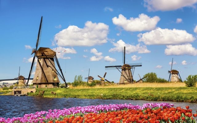Colorful spring landscape in Netherlands, Europe. Famous windmil