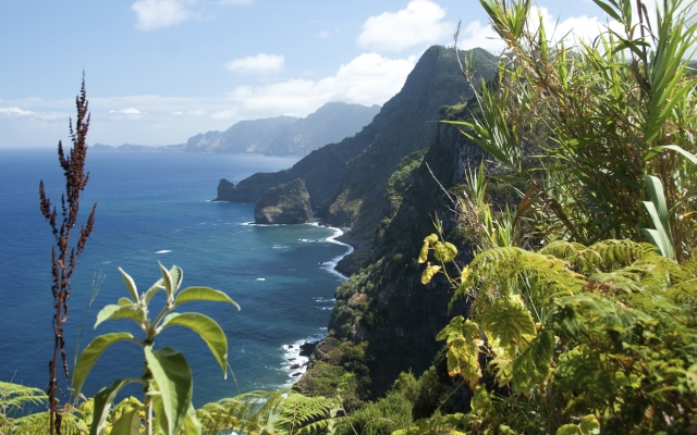 Madeira, north-east coast near Santana
