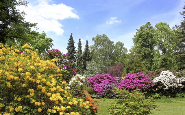 Rhododendrongarten