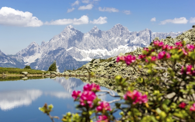 Spiegelsee Steiermark