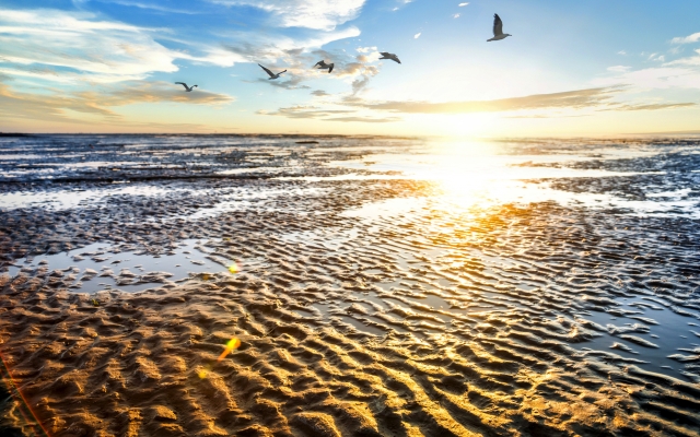 Wattenmeer nahe Cuxhaven