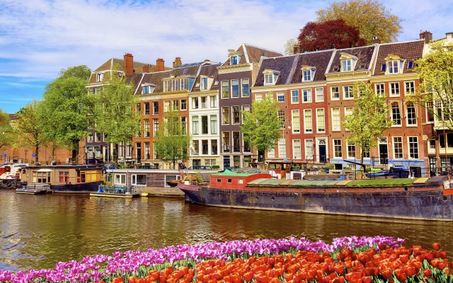 Cityscape view of the canal of Amsterdam in summer with a blue sky and traditional old houses. Colorful spring tulips flowerbed on the foreground. Picturesque of Amsterdam, The Netherlands.